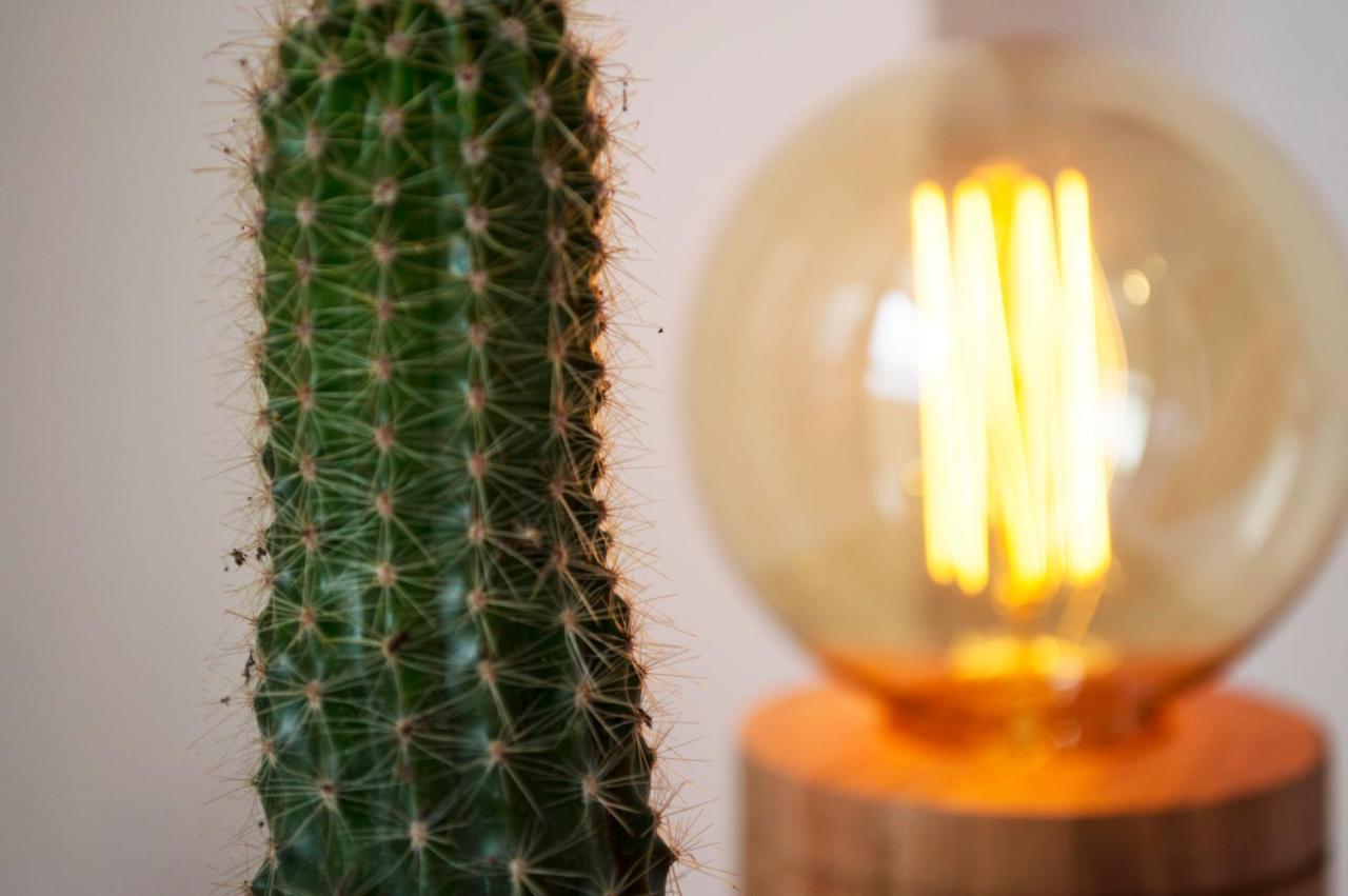 Cactus 2 *